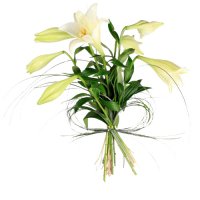 Lilja - Buketter - Skicka blommor i %city%